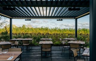 AF_LXA_Ridgeview Wine Estate-21.jpg