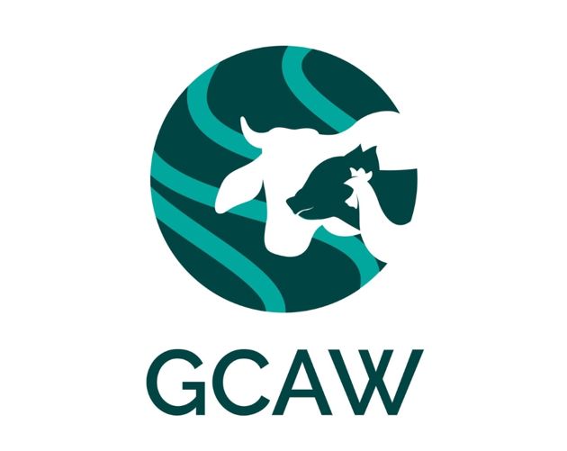 gcaw (1).jpg